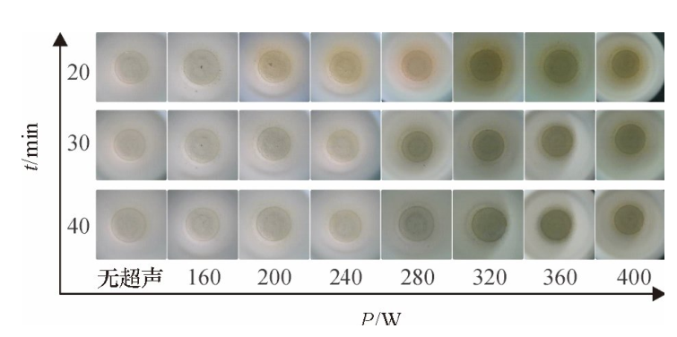图5不同密闭消解时间、不同超声功率的消解效果
